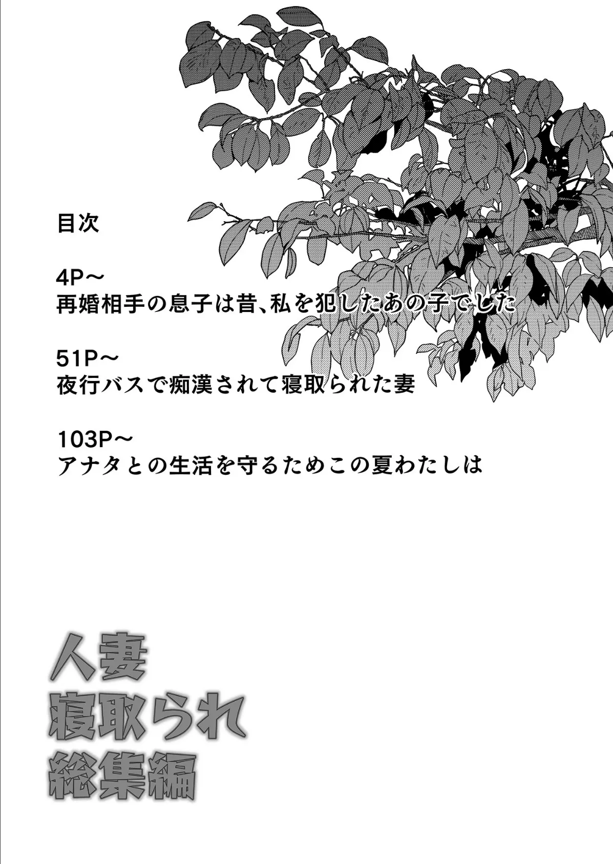 人妻寝取られ総集編【フルカラー版】 3ページ