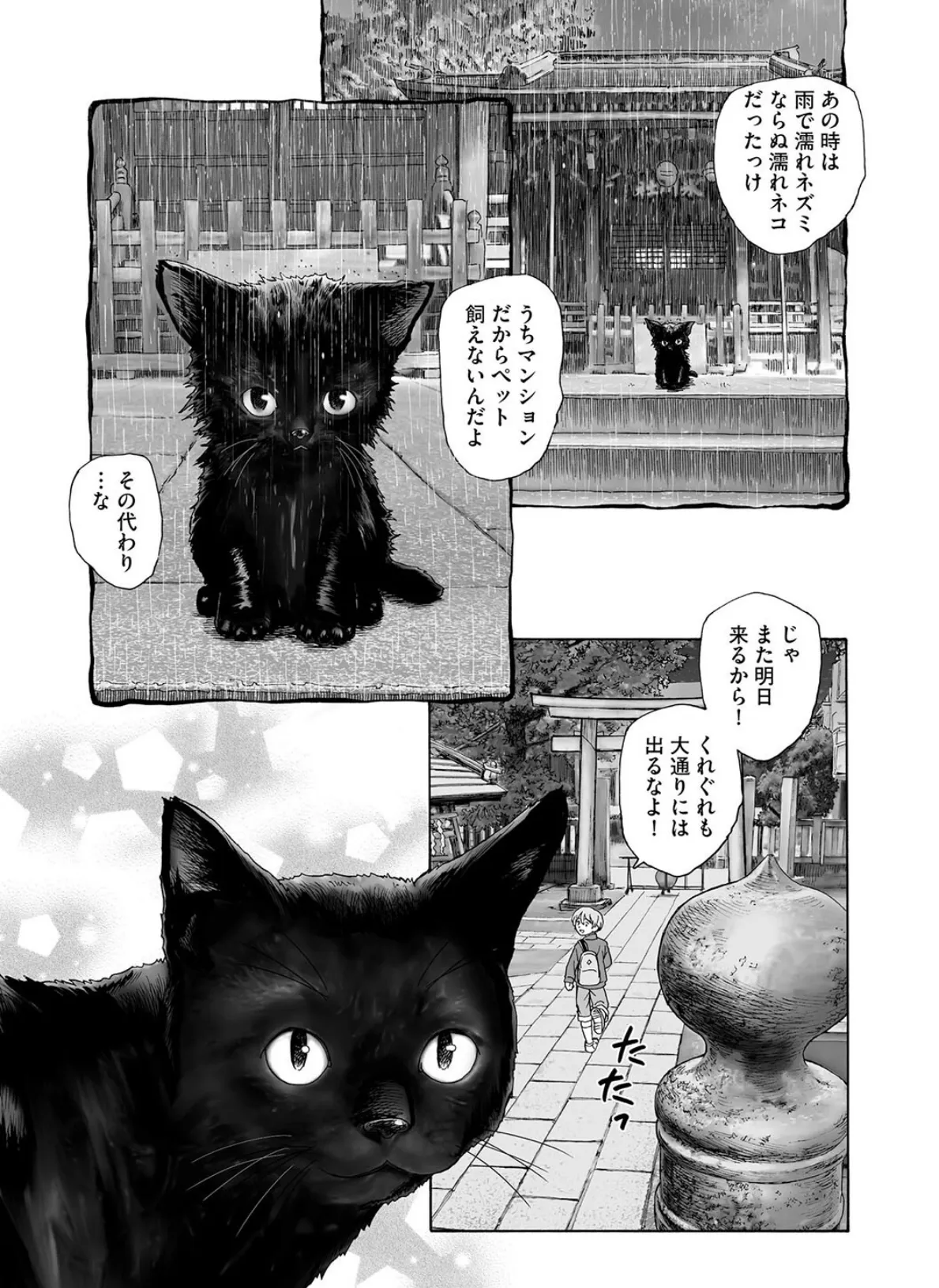 オヤシロ猫 5ページ