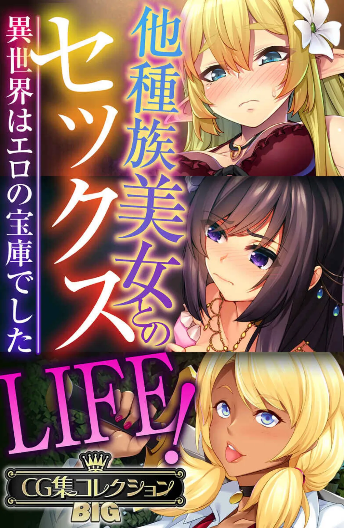 他種族美女とのセックスLIFE！ 〜異世界はエロの宝庫でした〜【CG集コレクションBIG】 1ページ