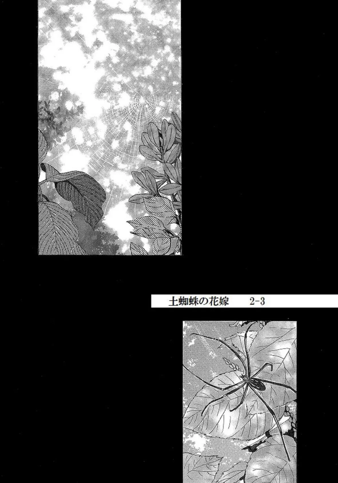 土蜘蛛の花嫁 第二章 2-3 2ページ