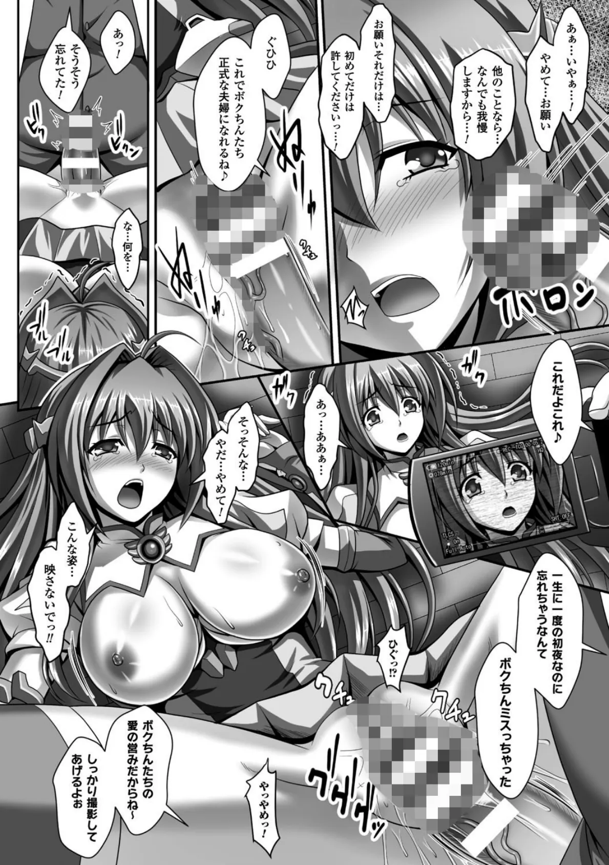 正義のヒロイン姦獄ファイル Vol.5 14ページ