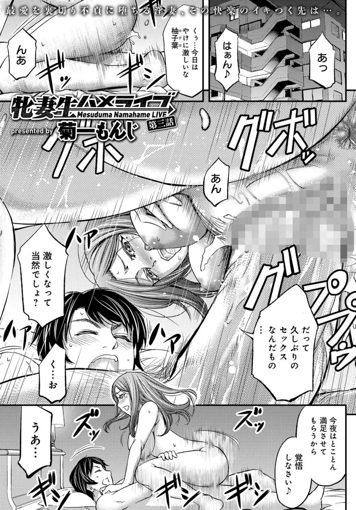 牝妻生ハメライブ (3)