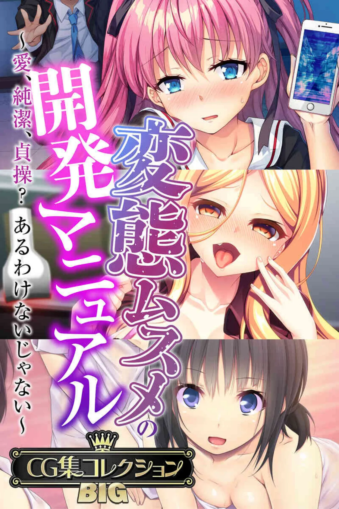 変態ムスメの開発マニュアル 〜愛、純潔、貞操?あるわけないじゃない〜【CG集コレクションBIG】