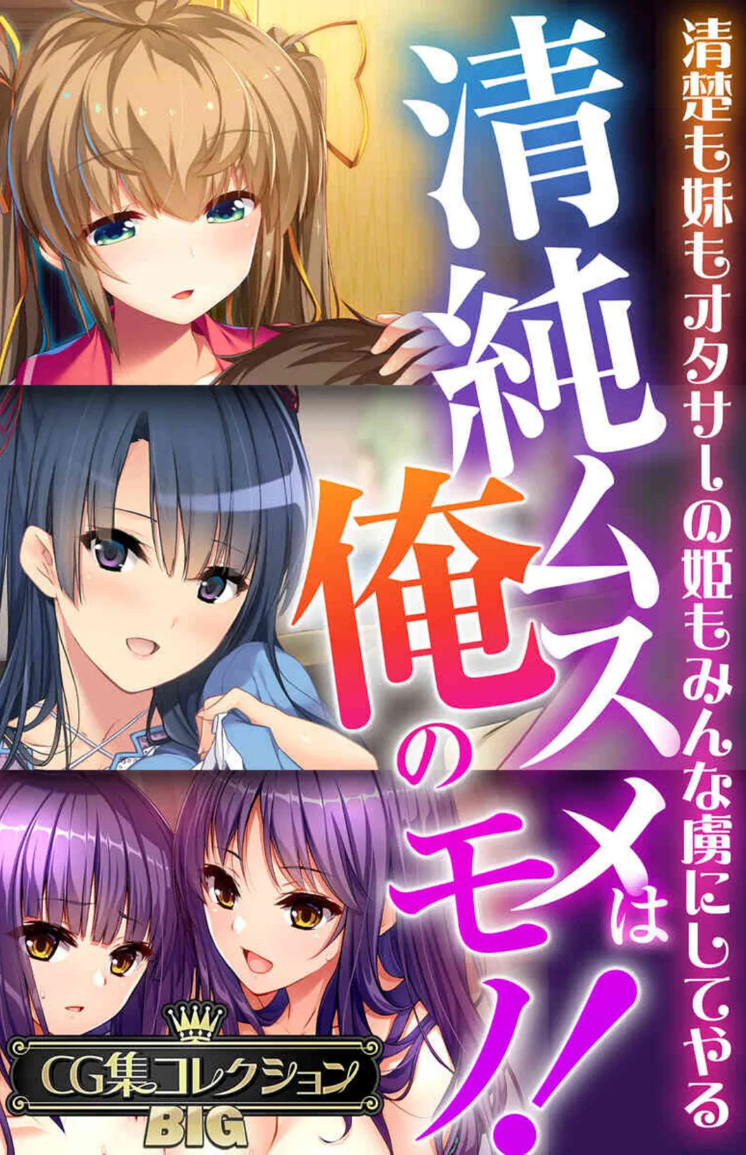 清純ムスメは俺のモノ!〜清楚も妹もオタサーの姫もみんな虜にしてやる〜【CG集コレクションBIG】